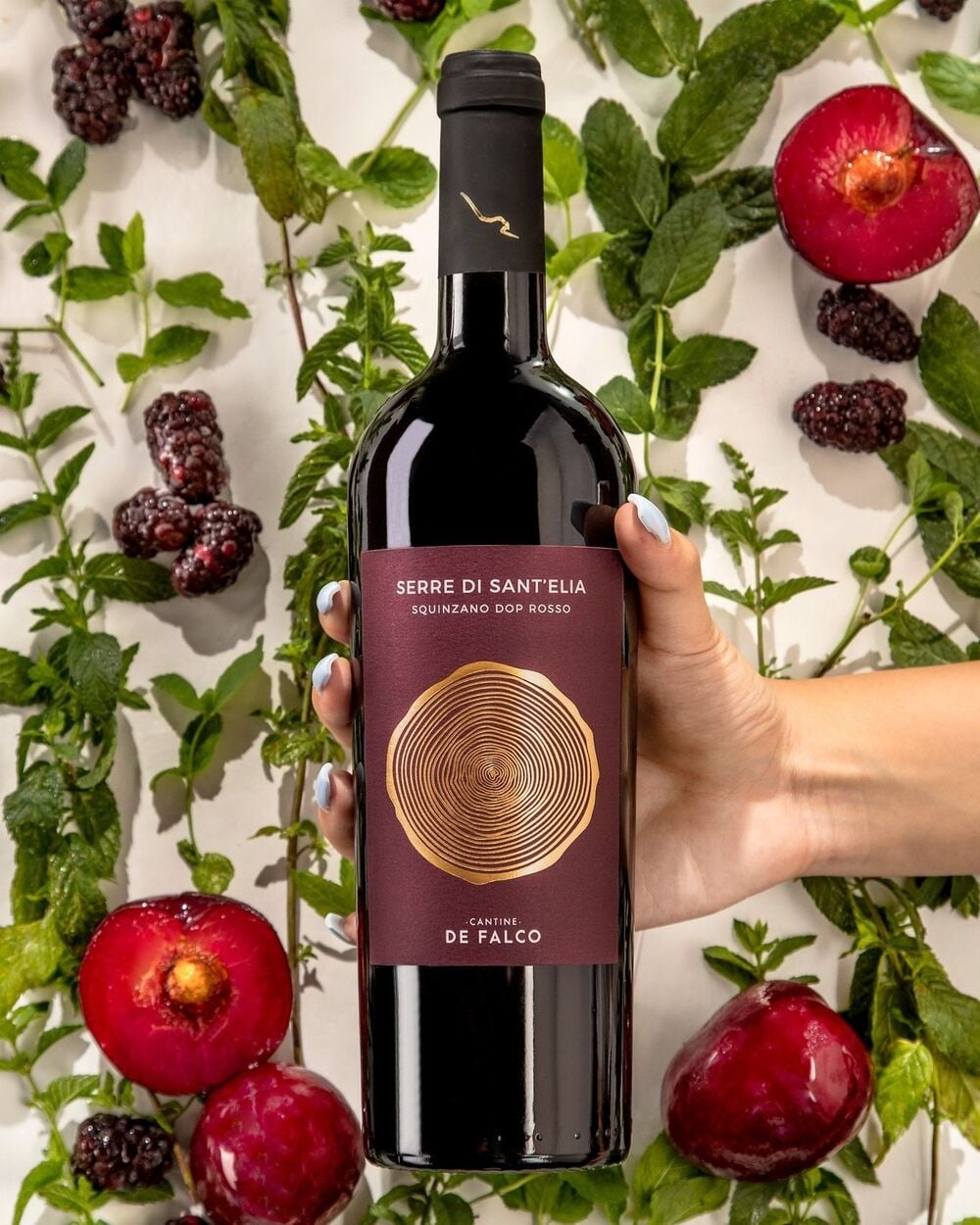 Cận cảnh chai rượu vang Negroamaro màu đỏ ruby, kèm hình ghi chú nếm thử: blackberry, black cherry, tiêu đen, vanilla.