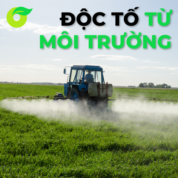 BẠN ĐÃ BIẾT CÁC LOẠI ĐỘC TỐ TỪ MÔI TRƯỜNG CHƯA