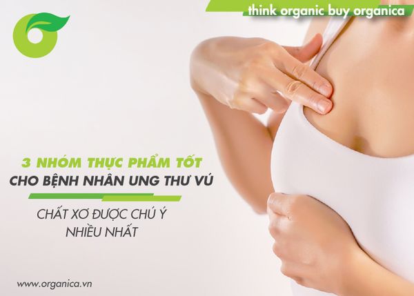 3 nhóm thực phẩm tốt cho bệnh nhân ung thư vú: Chất xơ được chú ý nhiều nhất