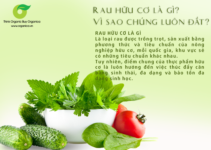 Thực phẩm hữu cơ Organic là gì  - Đâu sẽ là sự lựa chọn đáng tin cậy của bạn