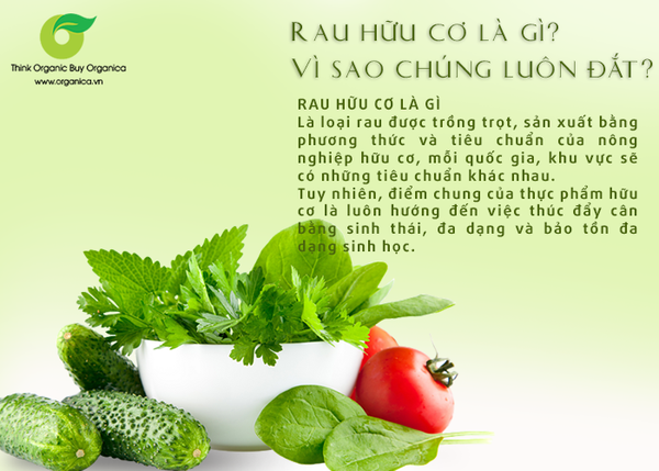 Thực phẩm hữu cơ Organic là gì  - Đâu sẽ là sự lựa chọn đáng tin cậy của bạn