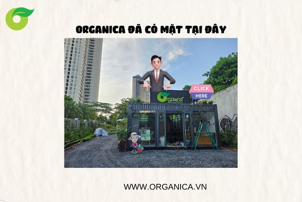 FLAGSHIP STORE ĐẦU TIÊN CỦA ORGANICA