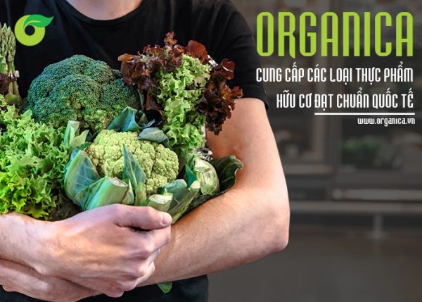 Mua rau hữu cơ ở đâu có chứng nhận organic, an toàn cho mẹ bầu và em bé