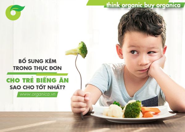 Bổ sung kẽm trong thực đơn cho trẻ biếng ăn sao cho tốt nhất?