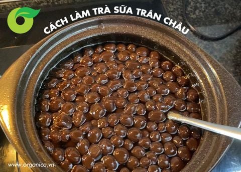 Cách làm trà sữa trân châu hữu cơ