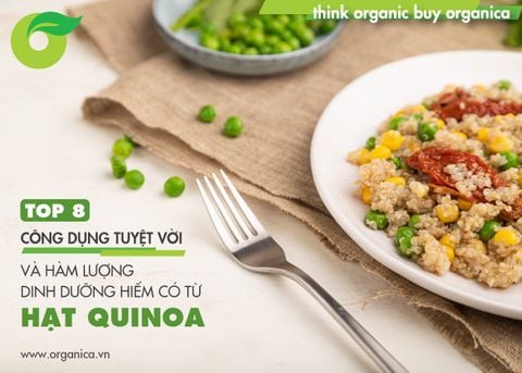 Top 8 công dụng tuyệt vời và hàm lượng dinh dưỡng hiếm có từ hạt quinoa