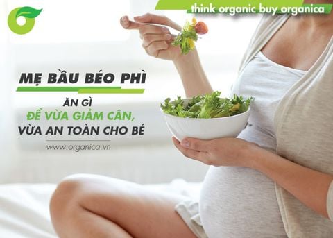 Mẹ bầu béo phì ăn gì để vừa giảm cân, vừa an toàn cho bé?