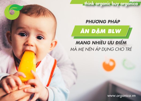 Phương pháp ăn dặm BLW: Mang nhiều ưu điểm mà mẹ nên áp dụng cho trẻ