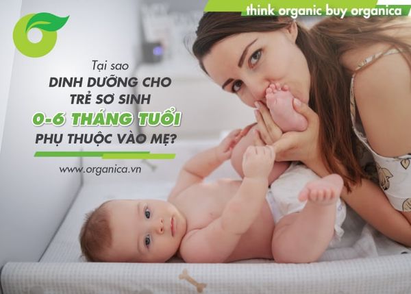 Tại sao dinh dưỡng cho trẻ sơ sinh 0 - 6 tháng tuổi phụ thuộc vào mẹ?