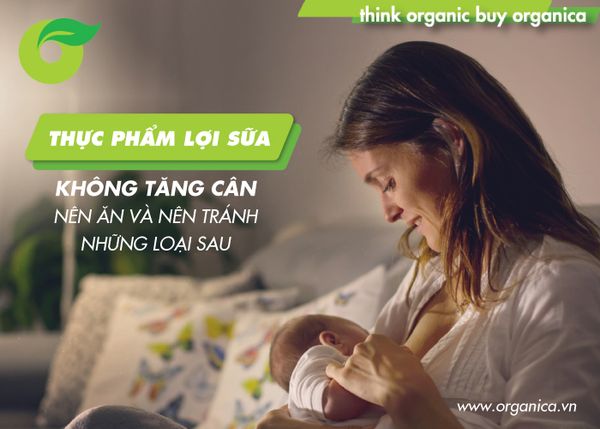 Thực phẩm lợi sữa không tăng cân: Nên ăn và nên tránh những loại sau
