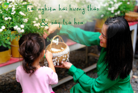 Trải Nghiệm Hái Hương Thảo & Sấy Trà Hoa Tại Organica Thảo Điền – Một Ngày Cuối Tuần Đầy Ý Nghĩa