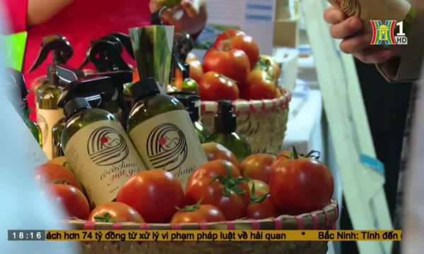 Cô Cà Chua xuất hiện trên Đài truyền hình Hà Nội