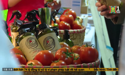 Cô Cà Chua xuất hiện trên Đài truyền hình Hà Nội