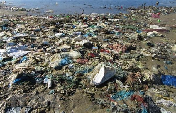 Hình ảnh rác thải nhựa ngoài môi trường sống.
