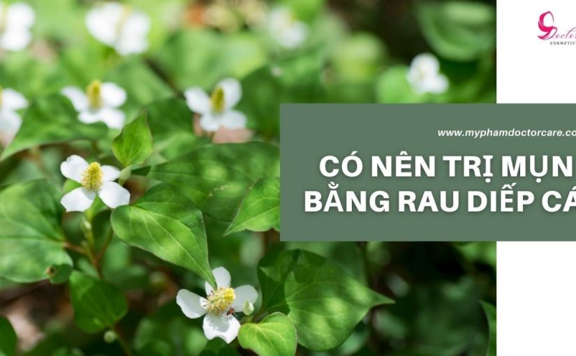 CÓ NÊN TRỊ MỤN BẰNG RAU DIẾP CÁ KHÔNG?