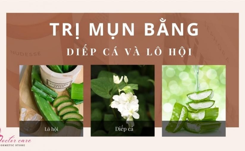 TRỊ MỤN BẰNG RAU DIẾP CÁ VÀ LÔ HỘI