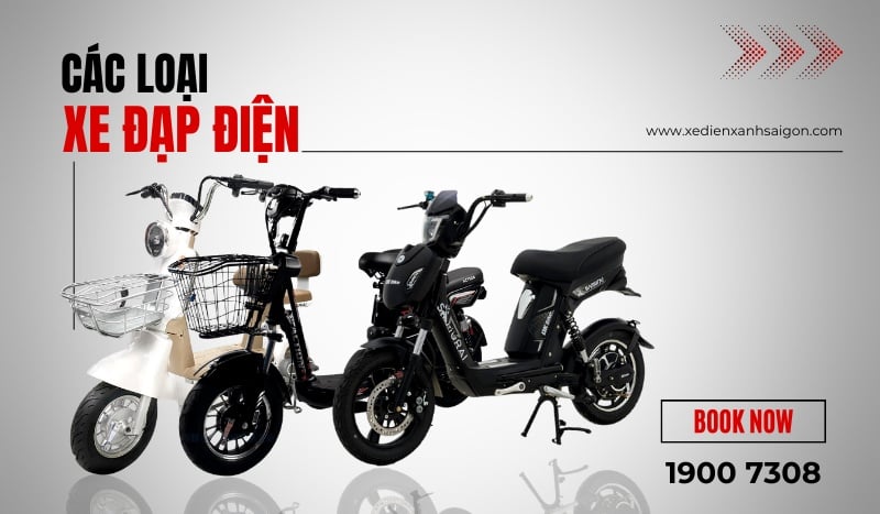 Các Loại Xe Đạp Điện Trên Thị Trường Tại Việt Nam Hiện Nay