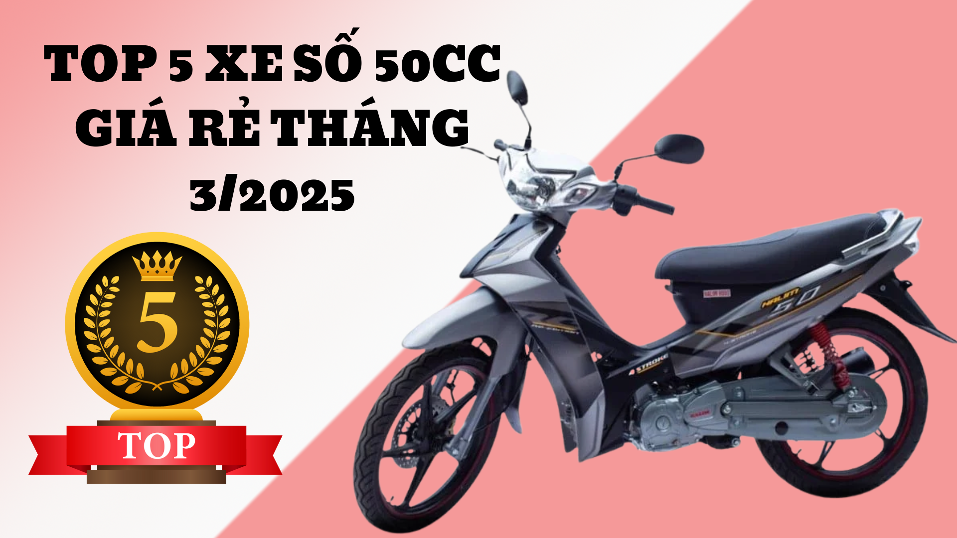 TOP 5 Xe Số 50CC Phù Hợp Với Học Sinh Và Sinh Viên Giá Rẻ Thuận Tiện Di Chuyển