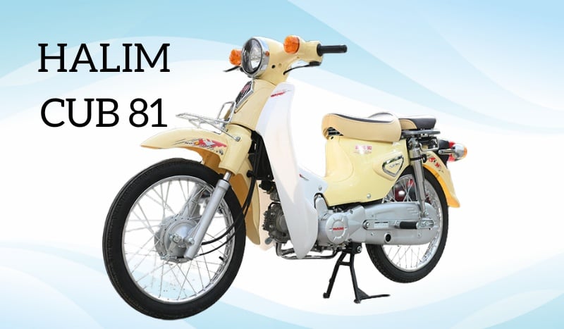 Review xe cub 81 50 cc Halim