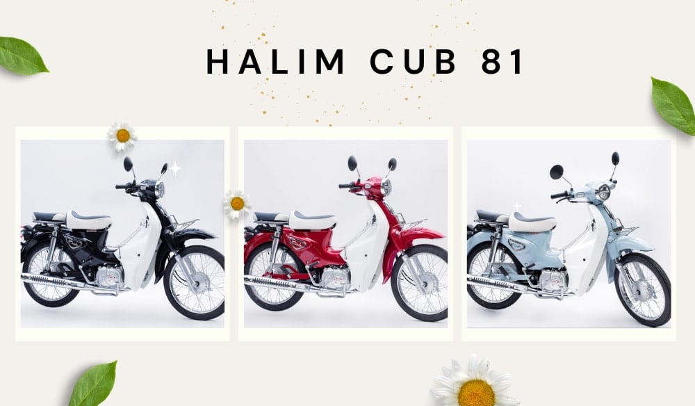 xe máy 50cc cho học sinh nữ