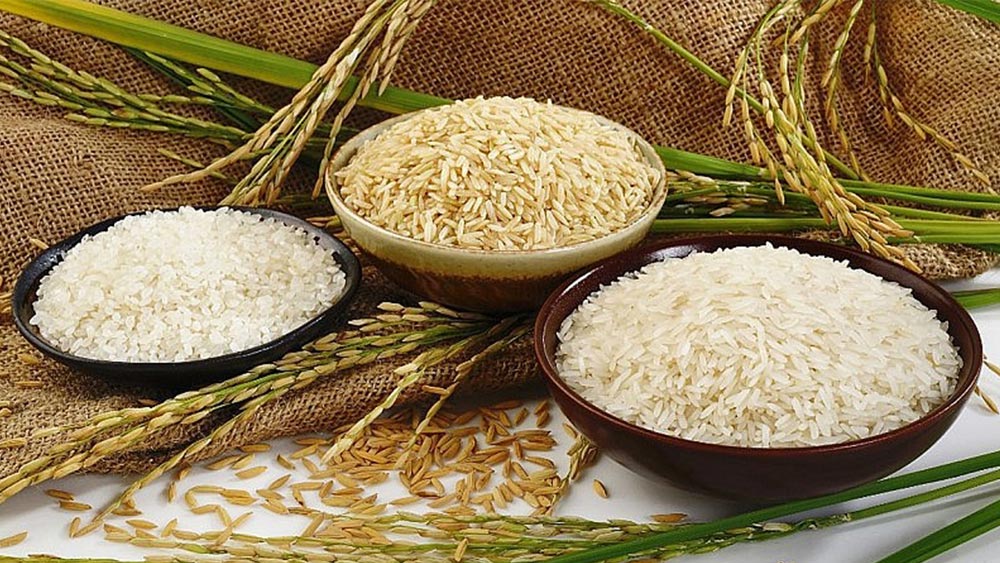 Giá lúa gạo hôm nay ngày 23/9: Giá gạo bật tăng 200 đồng/kg