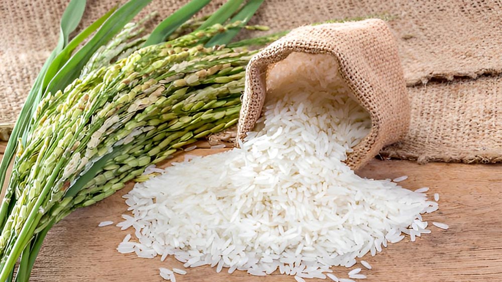 Giá lúa gạo hôm nay 17/7: Duy trì ổn định
