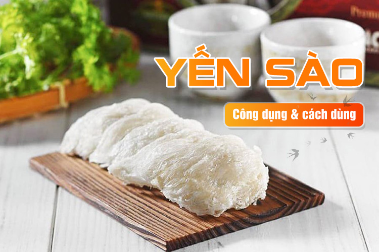 Yến sào công dụng và cách dùng