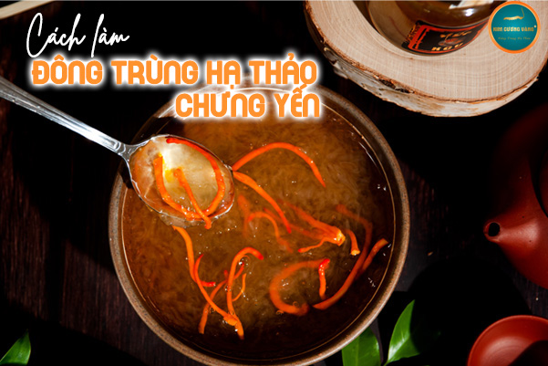 Cách Làm Đông Trùng Hạ Thảo Chưng Yến