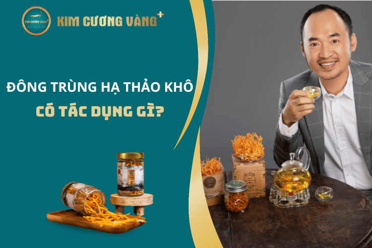 Đông Trùng Hạ Thảo khô có tác dụng gì? Liều dùng, cách dùng hiệu quả