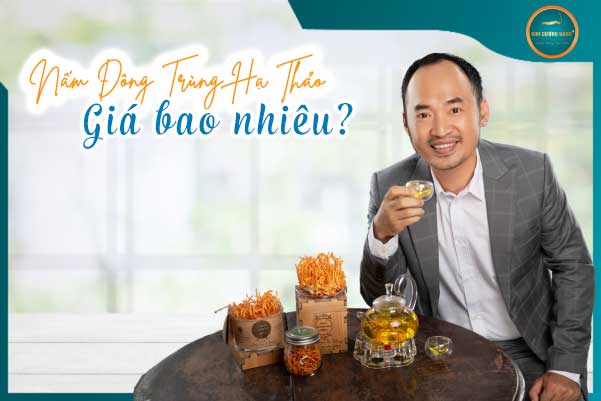 Giá Đông Trùng Hạ Thảo Bao Nhiêu? Mua Ở Đâu Uy Tín