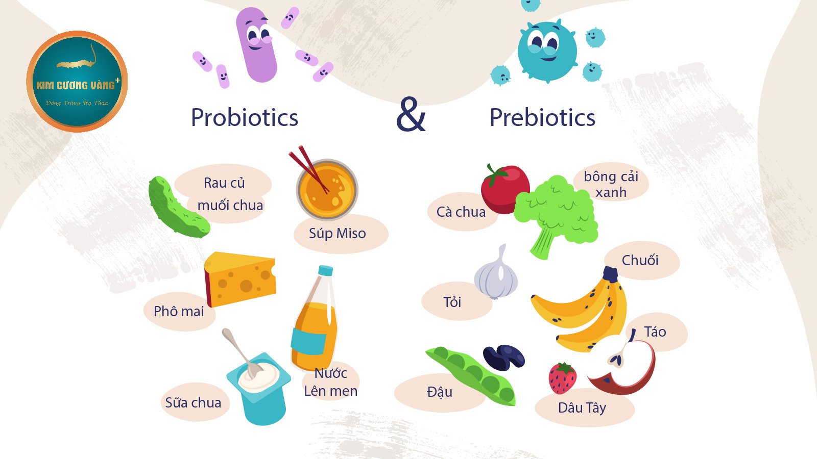 Probiotic & Prebiotic: Bí quyết tăng cường hệ miễn dịch tự nhiên