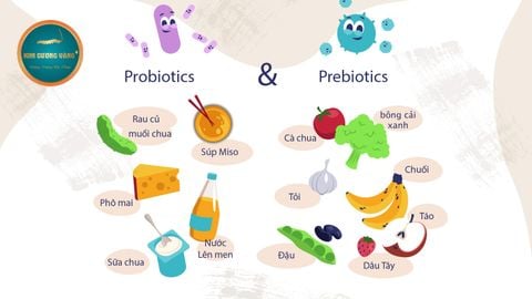 Probiotic & Prebiotic: Bí quyết tăng cường hệ miễn dịch tự nhiên