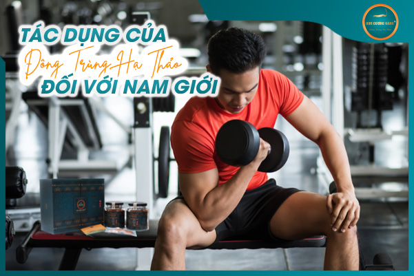 Tác Dụng Của Đông Trùng Hạ Thảo Với Nam Giới