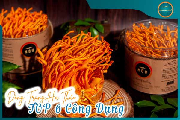 Top 6 Công Dụng Của Đông Trùng Hạ Thảo