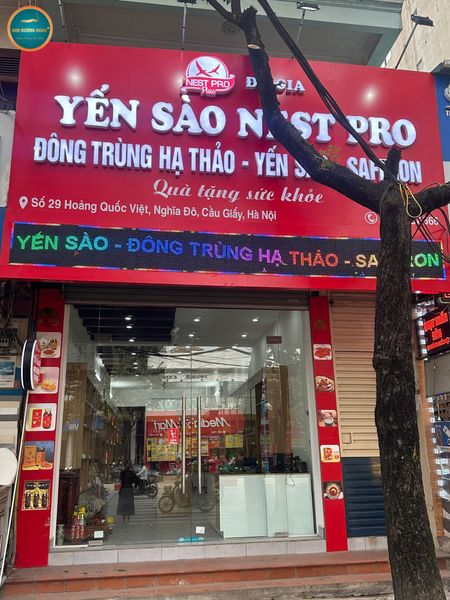 Cửa hàng đại lý chính hãng Kim Cương Vàng tại Hà Nội
