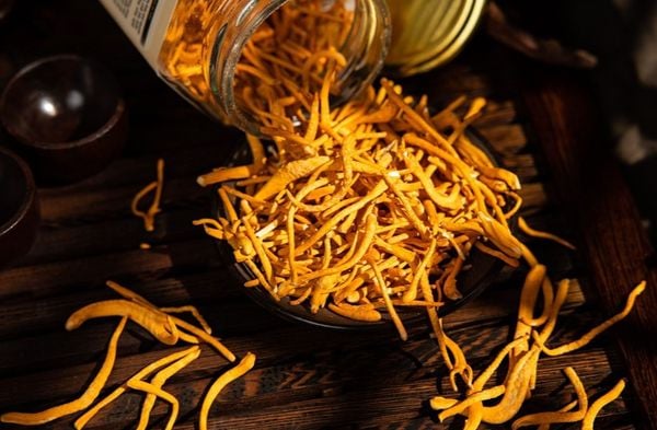 Tất Tần Tật Về Đông Trùng Hạ Thảo Bạn Nên Biết