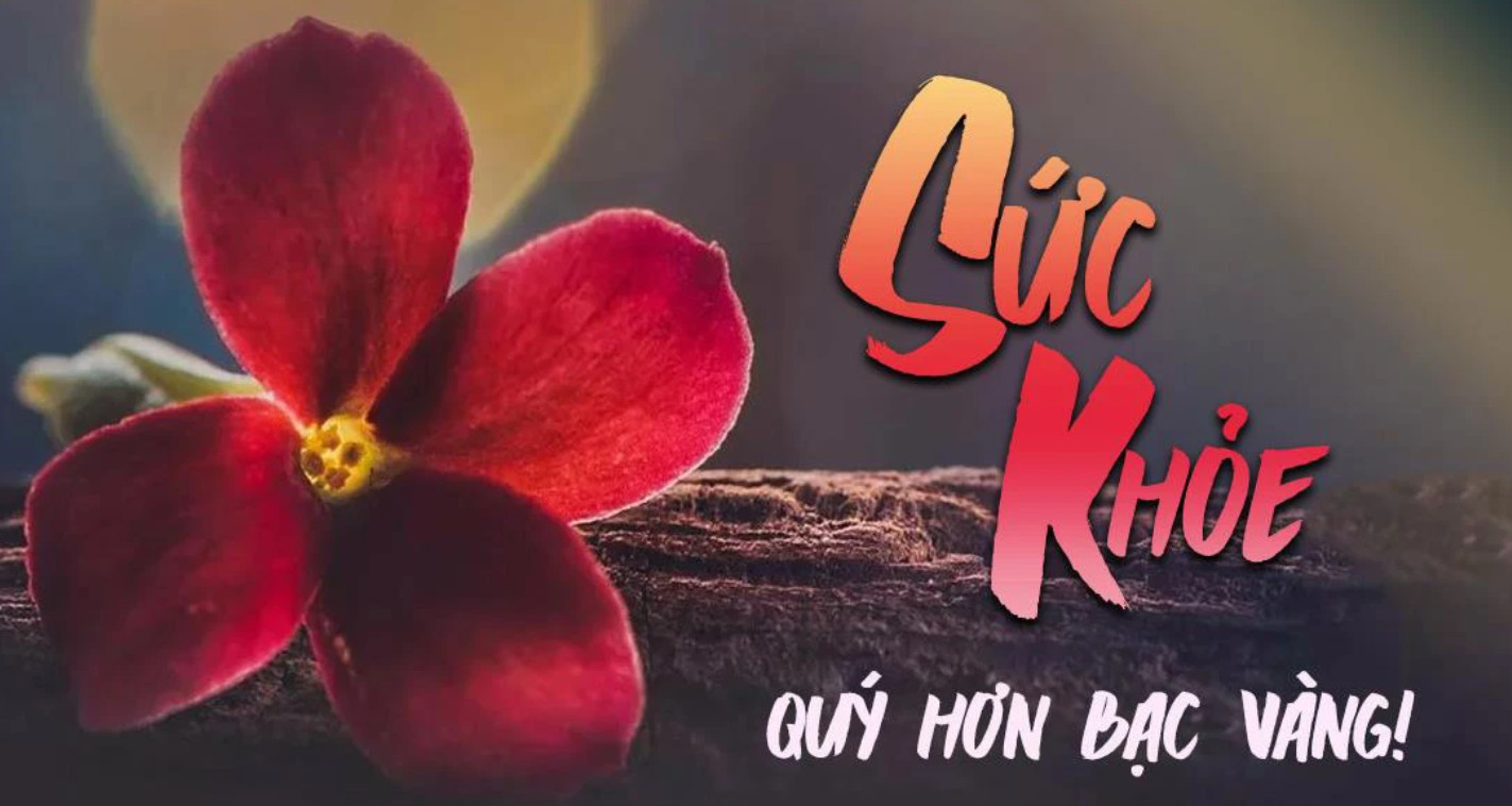 12 Mẫu Content Hay Về Sức Khỏe - Câu Nói Hài Hước Về Sức Khỏe