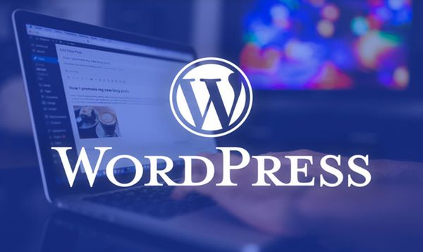 Wordpress Là Gì? Ưu Nhược Điểm Của Wordpress