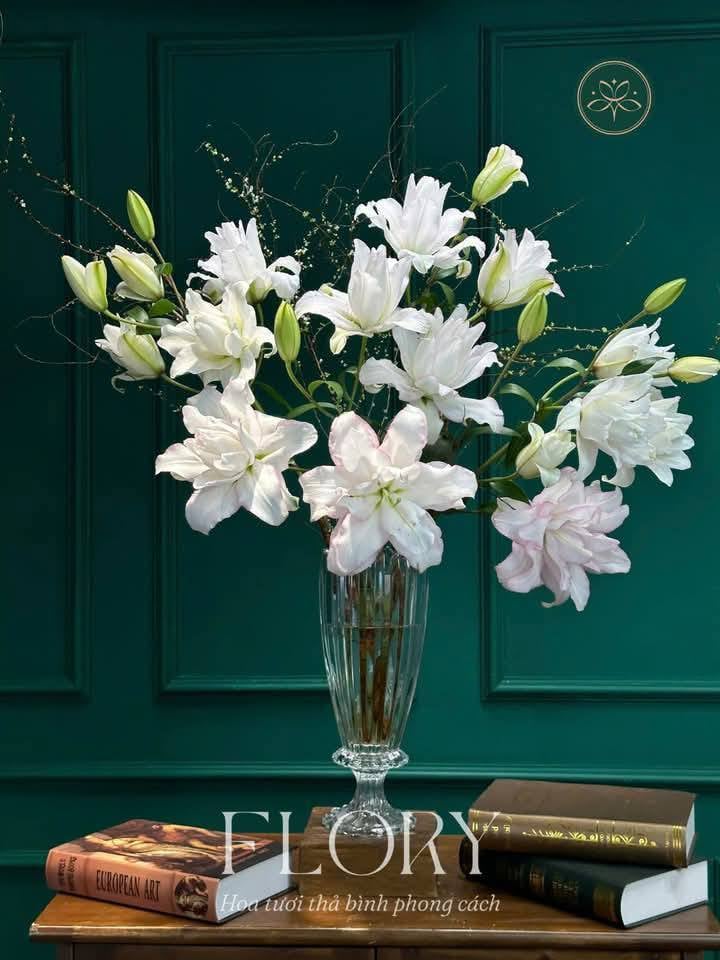 Content bán hoa - LiLy