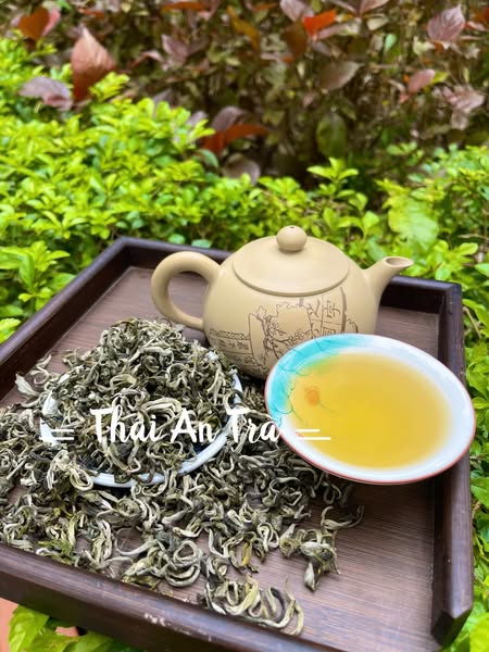 Content hay về trà - Trà Shan Tuyết