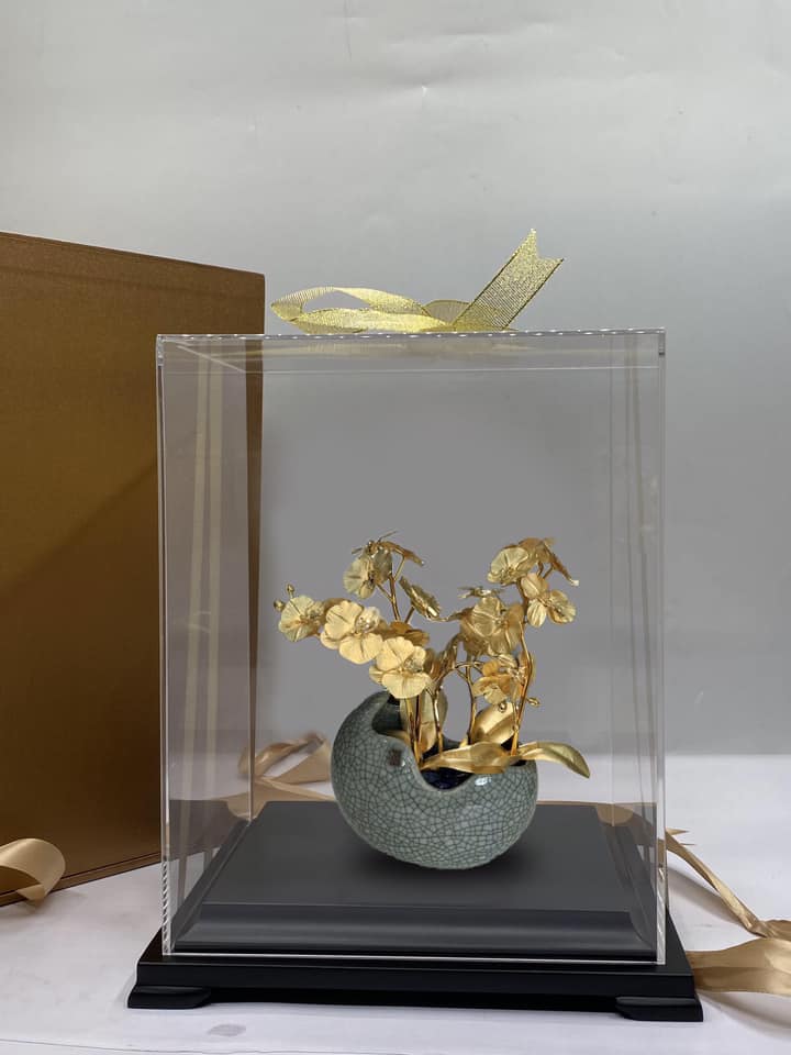 Content tặng quà hay - Phong lan Phú Quý mạ vàng