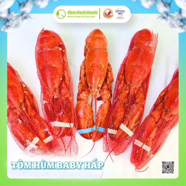 Content thực phẩm sạch - Tôm hùm Baby Canada