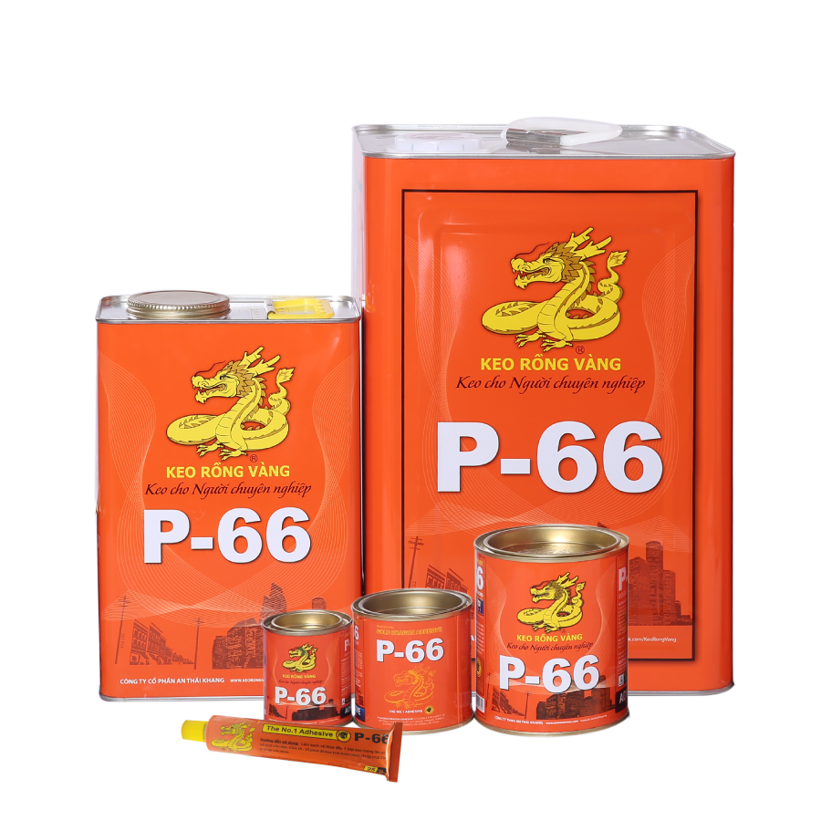 Keo rồng vàng P66