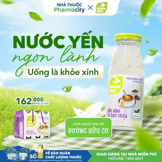 Content bán yến sào - Yến sào hạt chia