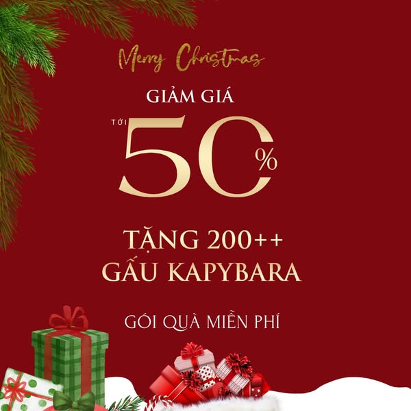 Content khai trương - Snow Kids