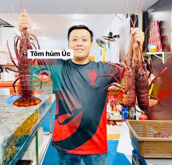 Mẫu đăng bài bán hải sản -&nbsp;Tôm hùm Úc