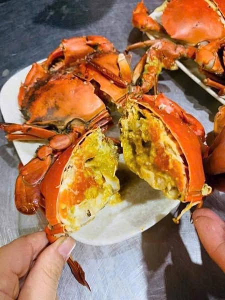 Mẫu đăng bài bán hải sản -&nbsp;Hải sản Bình Yên