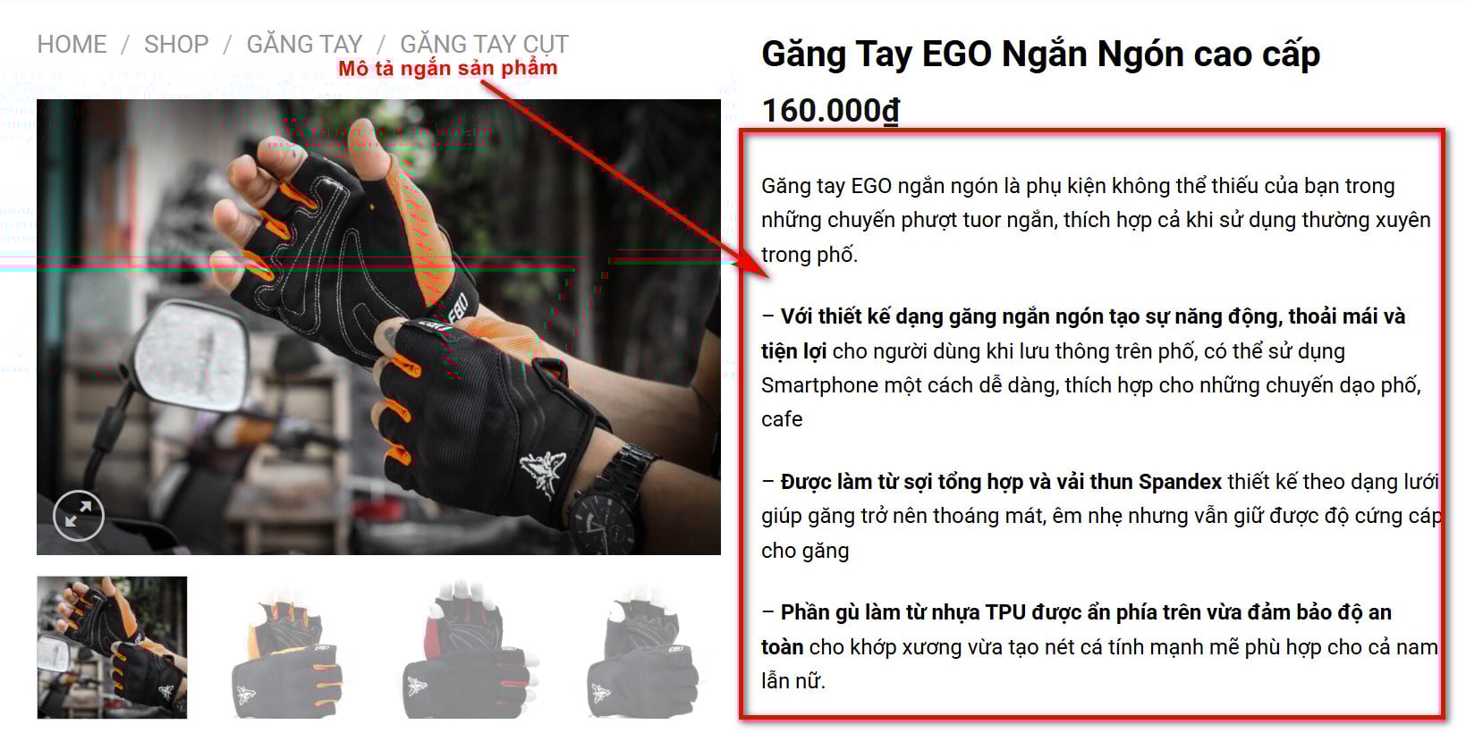 Mô tả ngắn sản phẩm