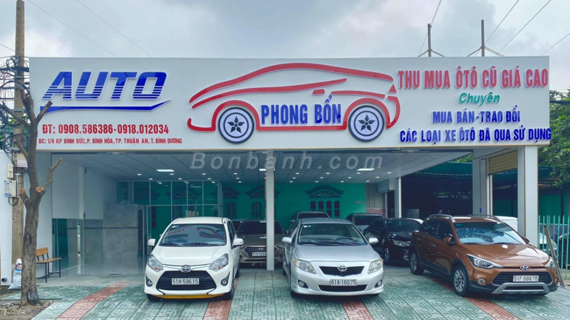Auto Phong Bổn