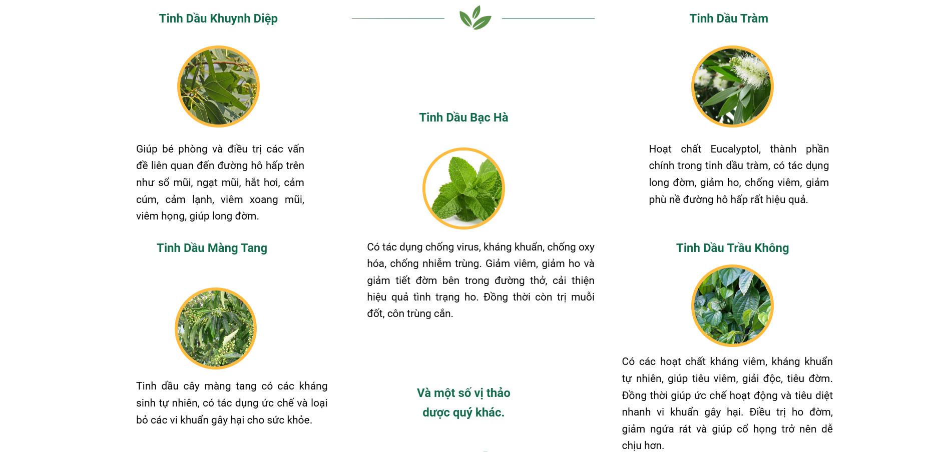 Thành phần tinh dầu Lợi An
